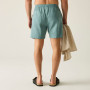 Pantalones cortos de hombre Regatta Hadlin Shorts