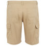 Pantalones cortos de hombre Regatta Ruwan Shorts