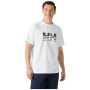 Camiseta de hombre Helly Hansen Core Graphic T 2.0
