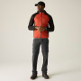 Pantalones de hombre Regatta Anti-Insect Travel Light Z/O Trousers