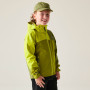 Chaqueta para niños Dare 2b Explore III Jacket Golden Cypress