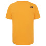 Camiseta de hombre The North Face Easy Tee