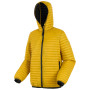 Chaqueta de hombre Regatta Rigain