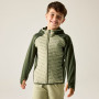Chaqueta para niños Regatta Junior Andreson Hybrid DkKhaki/LtSg