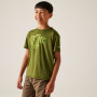 Camiseta para niños Regatta Alvarado IX
