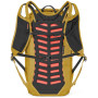 Mochila Salewa Pedroc Core 22L
