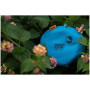 Frisbee de bolsillo Ticket to the moon Pocket Moon Disc