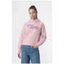 Sudadera para niños Champion Hooded Sweatshirt G
