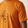 Camiseta de hombre Regatta Fingal Stretch