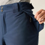 Pantalones de hombre Dare 2b Baseplate Insulated Pant