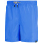 Pantalones cortos de hombre Regatta Mackleyna Swim Short