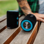 Altavoz Niceboy Raze 2 Twins