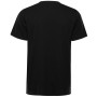 Camiseta de hombre Alpine Pro Bolen 2