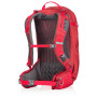 Mochila Gregory Salvo 24