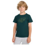 Camiseta para niños 4F Tshirt M2417