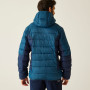 Chaqueta de hombre Regatta Hooded Dalent