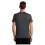 Camiseta de hombre Icebreaker Men Merino 150 Tech Lite Bear Tour