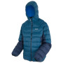 Chaqueta de hombre Regatta Hooded Dalent