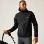 Chaqueta de hombre Regatta Arec III