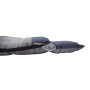 Saco de dormir Vango Borealis Single Heathered