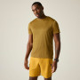 Camiseta de hombre Regatta Fingal Edition