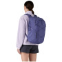 Mochila Patagonia Refugio Day Pack 30L