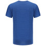 Camiseta de hombre Alpine Pro Adarn