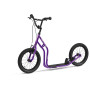 Color: violeta