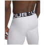 Mallas de hombre Under Armour CG Armour Leggings