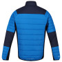 Chaqueta de invierno para hombre Regatta Halton VI