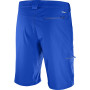 Pantalones cortos de hombre Salomon Wayfarer LT Short M