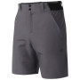 Pantalones cortos de hombre Dare 2b Torrek II Short