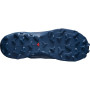 Calzado de hombre Salomon Wildcross GTX