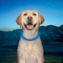 Collar luminoso para perro Nite Ize NiteHowl® Rechargeable LED Safety Necklace
