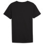 Camiseta de hombre Puma Everyday Crew Neck Tee 2P