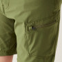 Pantalones cortos para niños Dare 2b Reprise III Short Nephite Green