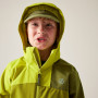 Chaqueta para niños Dare 2b Explore III Jacket Golden Cypress