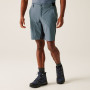 Pantalones cortos de hombre Regatta Eldes Shorts