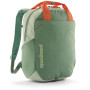 Color: verde claro