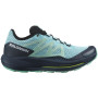 Zapatillas de carrera para mujer Salomon Pulsar Trail