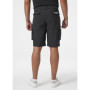 Pantalones cortos de hombre Helly Hansen Move Qd Shorts