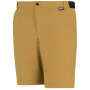 Pantalones cortos de hombre Regatta Anti-Insect Travel Light Shorts