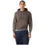 Sudadera de hombre Champion Hooded Sweatshirt M Champion Laundry