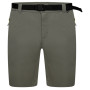Pantalones cortos de hombre Dare 2b Tuned In ProShort verde Agave Green