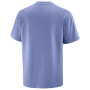 Camiseta de hombre Salomon Wild Rays Label SS Tee