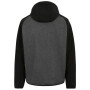 Chaqueta de hombre Regatta Arec III