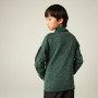 Sudadera para niños Regatta Junior Newhill DrkForGlacGr