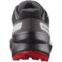 Calzado de hombre Salomon Speedcross Peak Gore-Tex