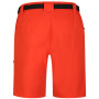 Pantalones cortos de hombre Dare 2b Tuned In ProShort