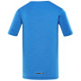 Camiseta de hombre Alpine Pro Basik